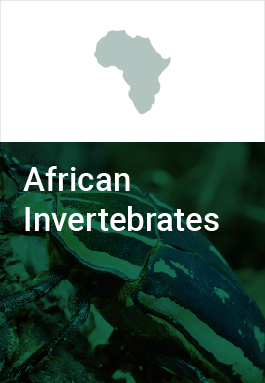 African Invertebrates cover