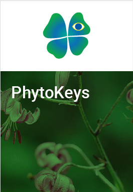 PhytoKeys cover