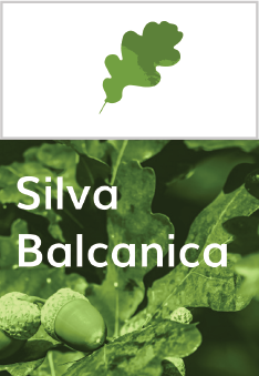 Silva Balcanica cover